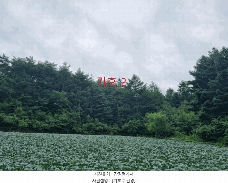 2025타경30647 강원특별자치도 삼척시 하장면 장전리 산40 임야 경매 이미지