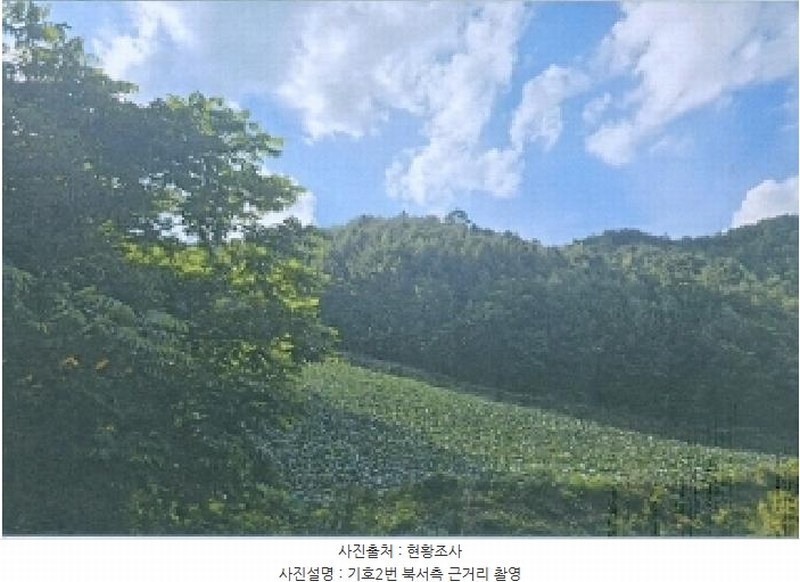 2025타경30647 강원특별자치도 삼척시 하장면 장전리 산40 임야 경매 이미지
