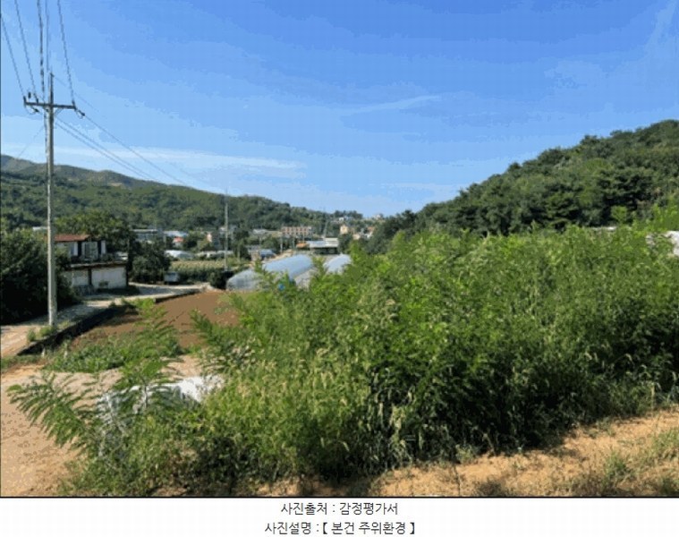 2025타경30681 강원특별자치도 동해시 망상동 320-14 대지 경매 이미지