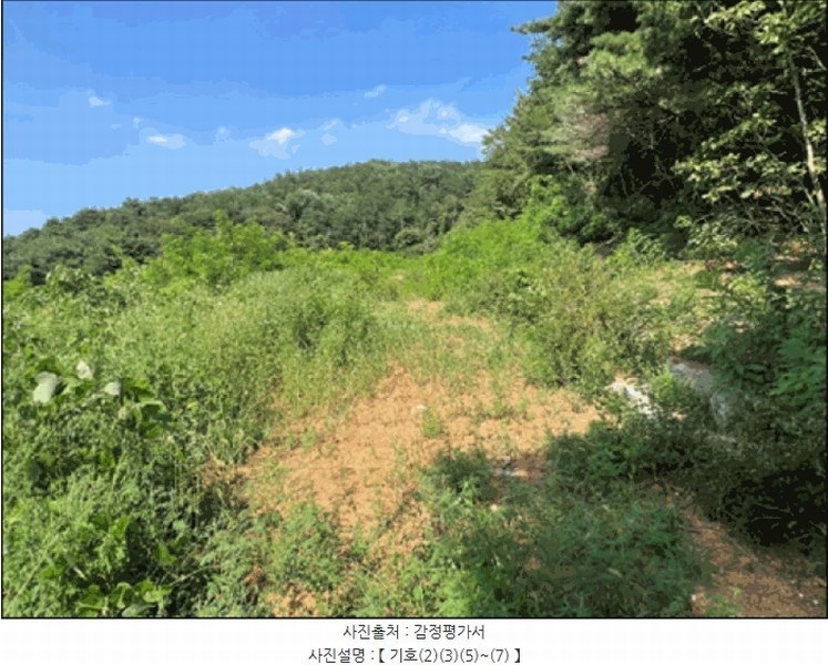 2025타경30681 강원특별자치도 동해시 망상동 320-14 대지 경매 이미지