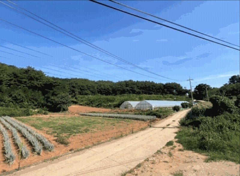 2025타경30681 강원특별자치도 동해시 망상동 320-14 대지 경매 이미지