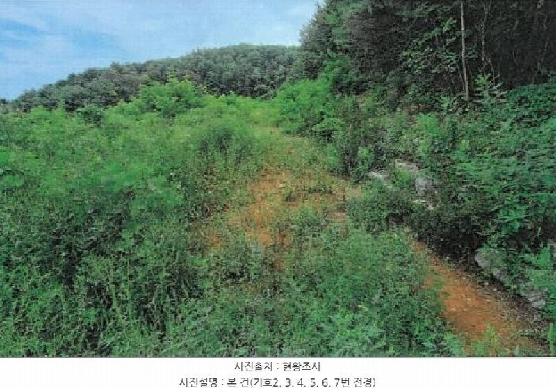 2025타경30681 강원특별자치도 동해시 망상동 320-14 대지 경매 이미지