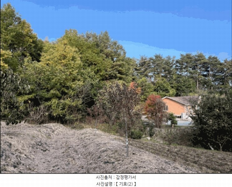 2025타경30762 강원특별자치도 강릉시 박월동 산33 임야 경매 이미지