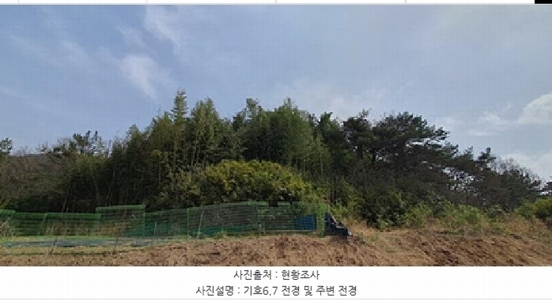 2025타경11169 경상남도 김해시 주촌면 선지리 559 농지 경매 이미지