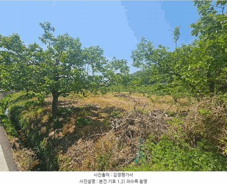 2025타경795 경상북도 청도군 이서면 칠곡리 125-2 농지 경매 이미지
