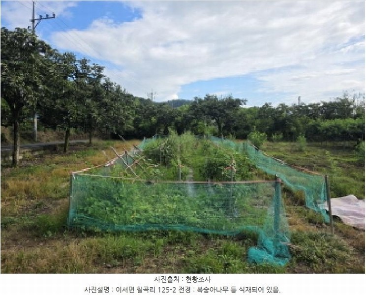2025타경795 경상북도 청도군 이서면 칠곡리 125-2 농지 경매 이미지