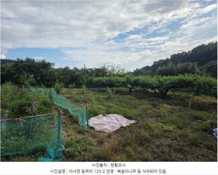 2025타경795 경상북도 청도군 이서면 칠곡리 125-2 농지 경매 이미지