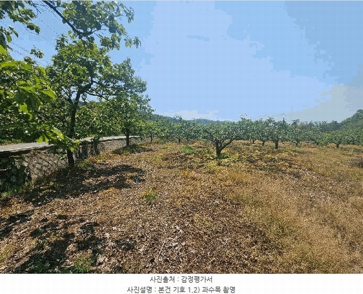 2025타경795 경상북도 청도군 이서면 칠곡리 125-2 농지 경매 이미지