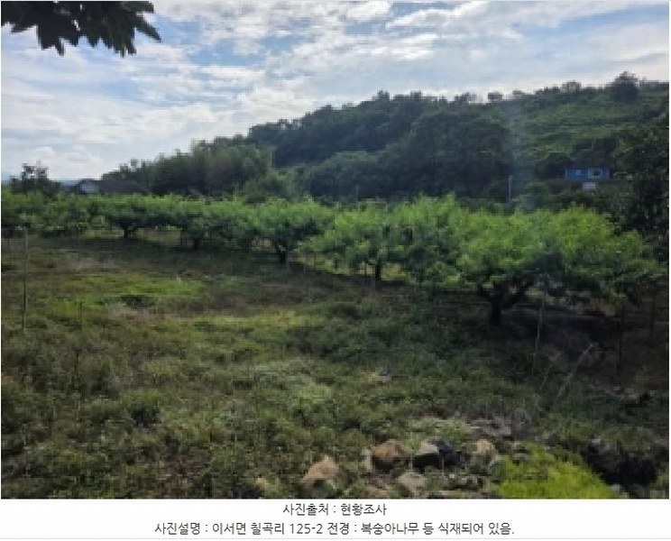 2025타경795 경상북도 청도군 이서면 칠곡리 125-2 농지 경매 이미지