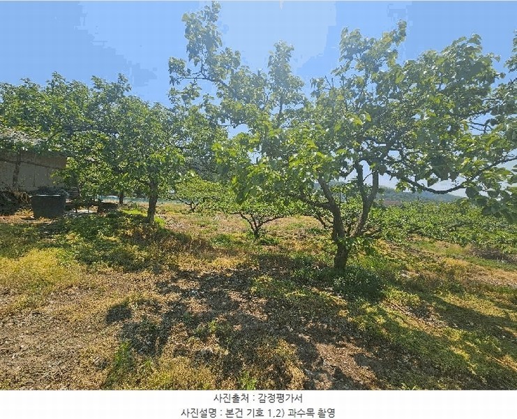 2025타경795 경상북도 청도군 이서면 칠곡리 125-2 농지 경매 이미지