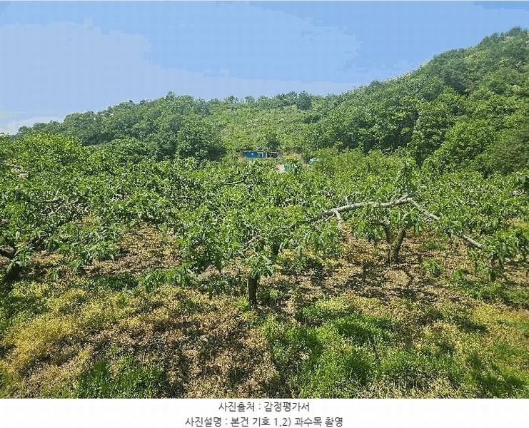 2025타경795 경상북도 청도군 이서면 칠곡리 125-2 농지 경매 이미지