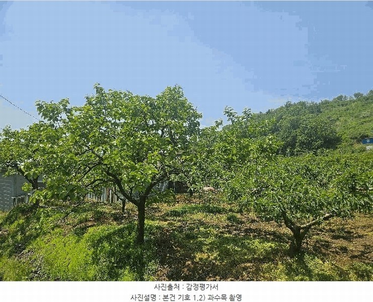 2025타경795 경상북도 청도군 이서면 칠곡리 125-2 농지 경매 이미지