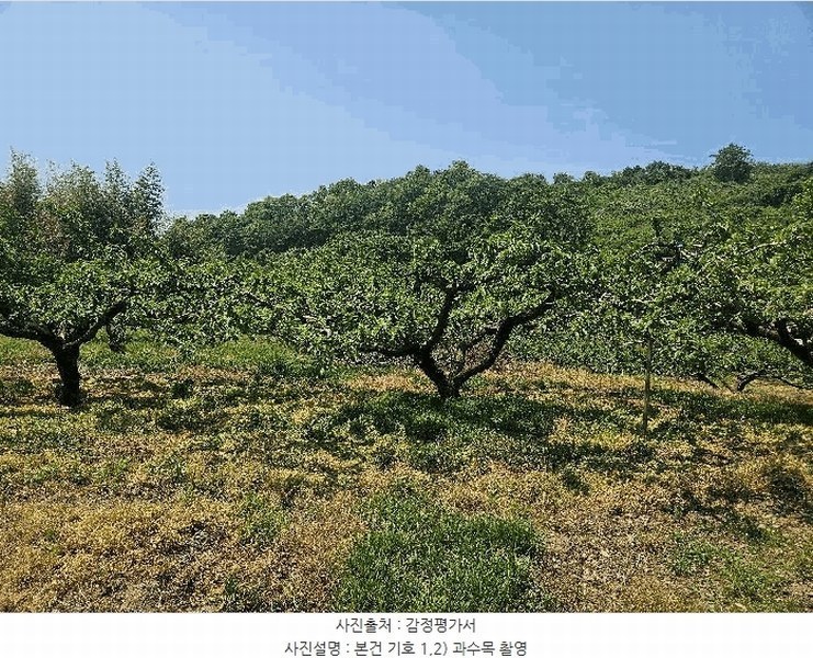 2025타경795 경상북도 청도군 이서면 칠곡리 125-2 농지 경매 이미지