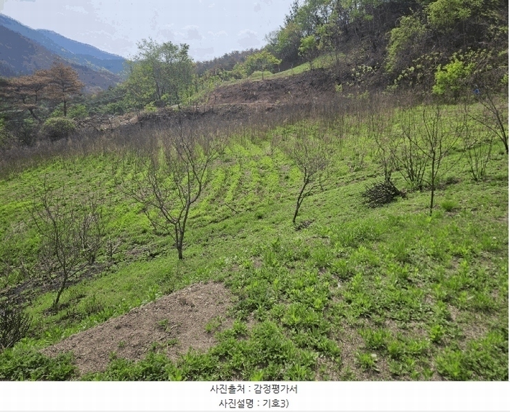 2025타경10161 경상북도 청송군 청송읍 월외리 478-3 농지 경매 이미지