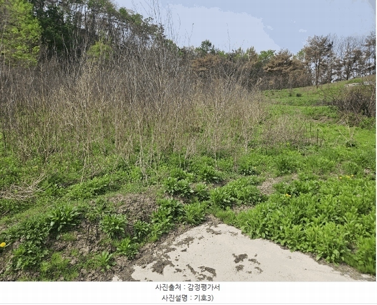 2025타경10161 경상북도 청송군 청송읍 월외리 478-3 농지 경매 이미지