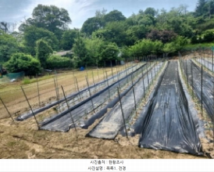 2025타경509250 인천광역시 강화군 강화읍 국화리 149-7 농지 경매 이미지