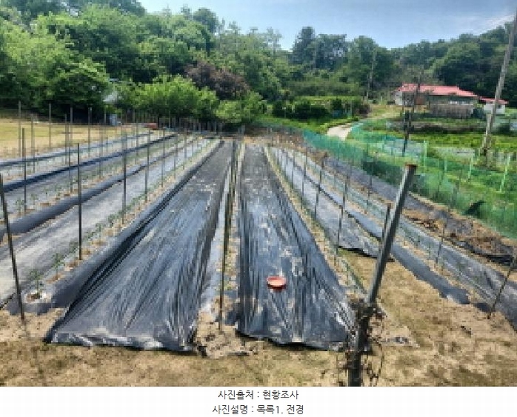 2025타경509250 인천광역시 강화군 강화읍 국화리 149-7 농지 경매 이미지