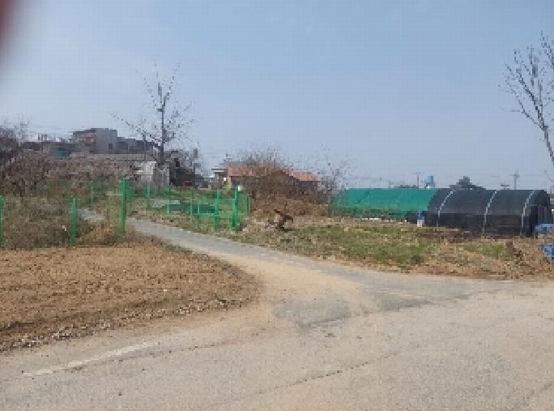 2025타경11401 충청남도 아산시 선장면 대흥리 297-2 농지 경매 이미지