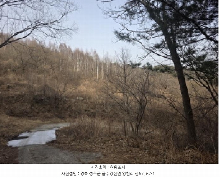 2025타경31983 경상북도 성주군 금수강산면 영천리 산67 임야 경매 이미지
