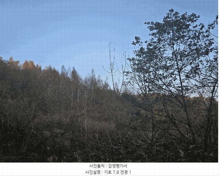 2025타경31983 경상북도 성주군 금수강산면 영천리 산67 임야 경매 이미지