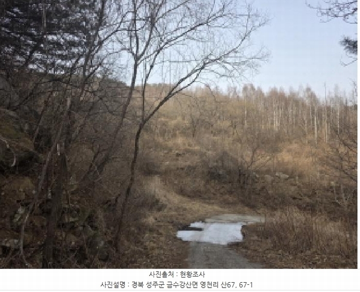 2025타경31983 경상북도 성주군 금수강산면 영천리 산67 임야 경매 이미지