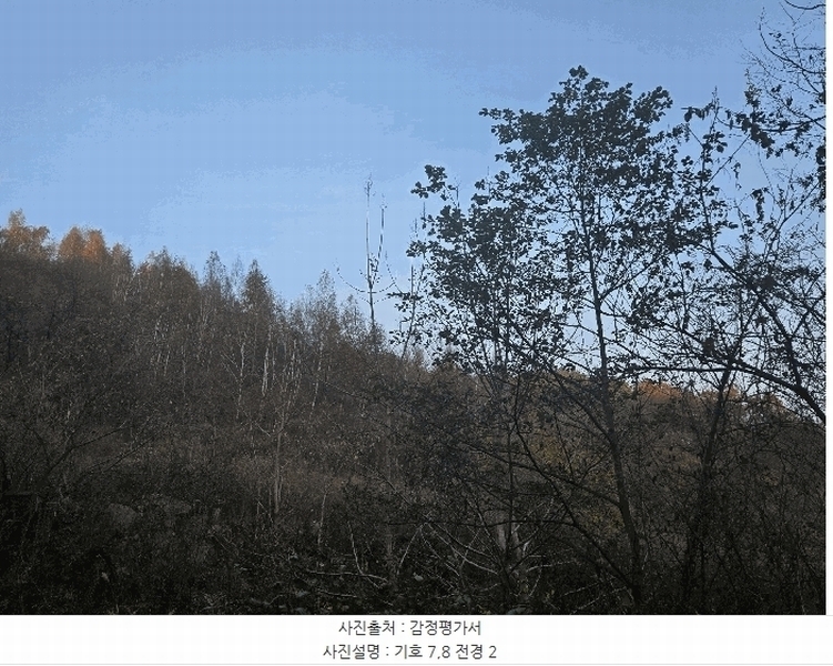 2025타경31983 경상북도 성주군 금수강산면 영천리 산67 임야 경매 이미지