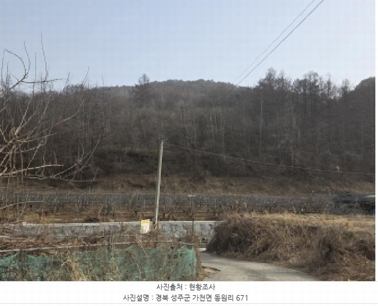 2025타경31983 경상북도 성주군 가천면 동원리 671 농지 경매 이미지