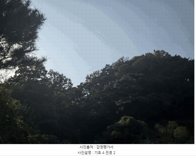 2025타경31983 경상북도 고령군 쌍림면 용리 산137 임야 경매 이미지