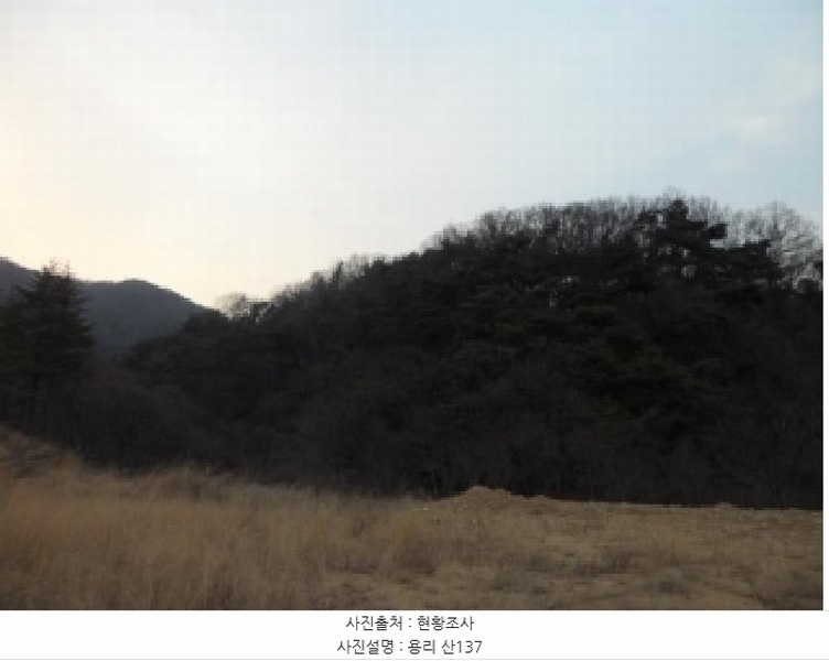 2025타경31983 경상북도 고령군 쌍림면 용리 산137 임야 경매 이미지