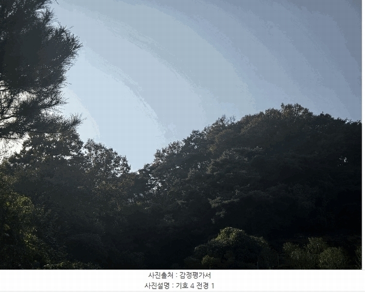 2025타경31983 경상북도 고령군 쌍림면 용리 산137 임야 경매 이미지