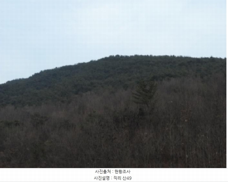 2025타경31983 경상북도 고령군 개진면 직리 산49 임야 경매 이미지