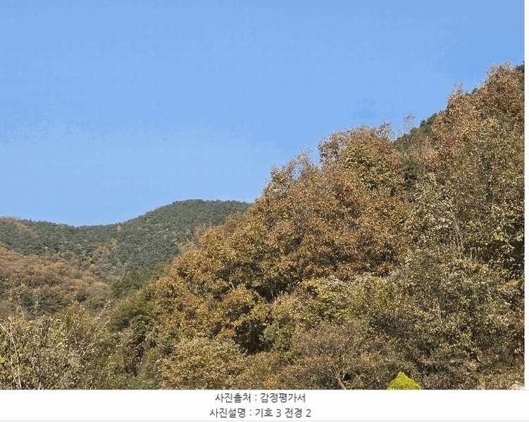 2025타경31983 경상북도 고령군 개진면 직리 산49 임야 경매 이미지