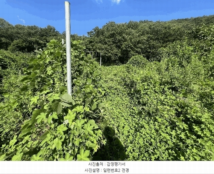 2025타경272 경상남도 함안군 대산면 옥렬리 1304-1 농지 경매 이미지
