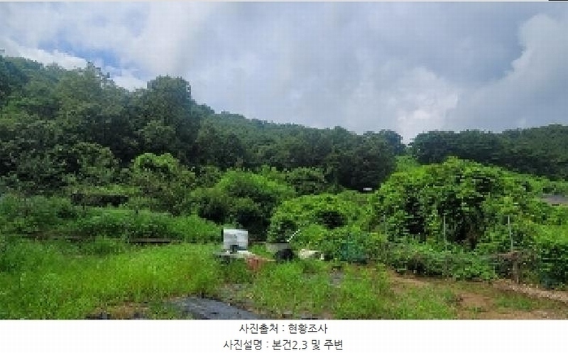 2025타경272 경상남도 함안군 대산면 옥렬리 1304-1 농지 경매 이미지