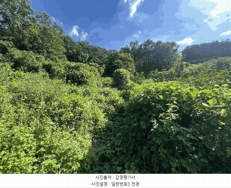 2025타경272 경상남도 함안군 대산면 옥렬리 1304-1 농지 경매 이미지