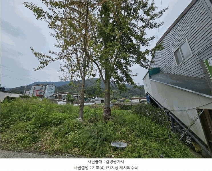 2025타경32786 전라남도 화순군 화순읍 일심리 545-1 대지 경매 이미지