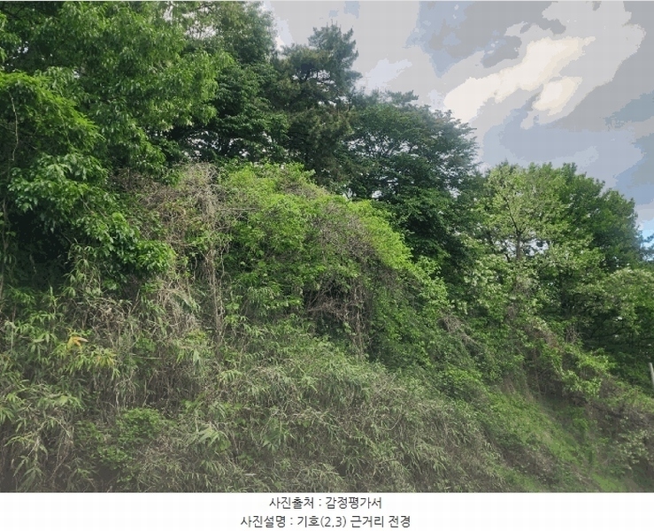 2025타경11413 경상남도 김해시 율하동 산115 도로 경매 이미지