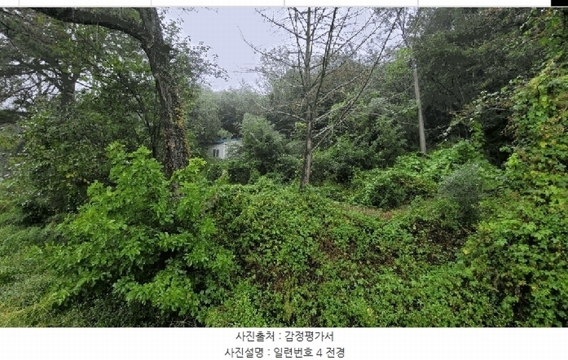 2025타경51784 충청북도 보은군 탄부면 벽지리 300 농지 경매 이미지