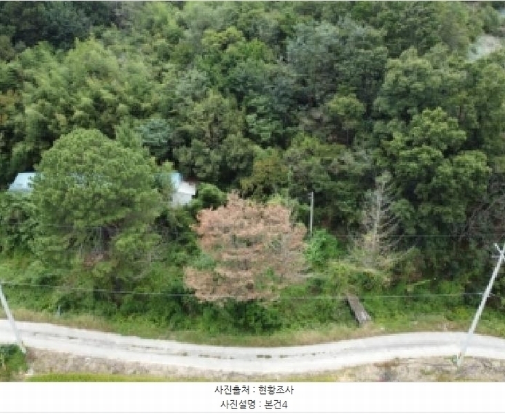 2025타경51784 충청북도 보은군 탄부면 벽지리 300 농지 경매 이미지