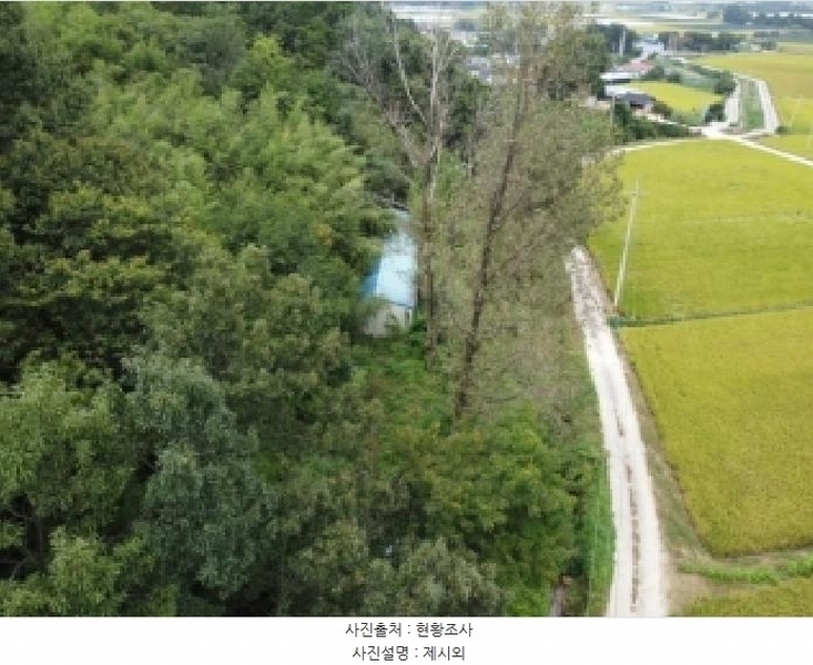 2025타경51784 충청북도 보은군 탄부면 벽지리 300 농지 경매 이미지