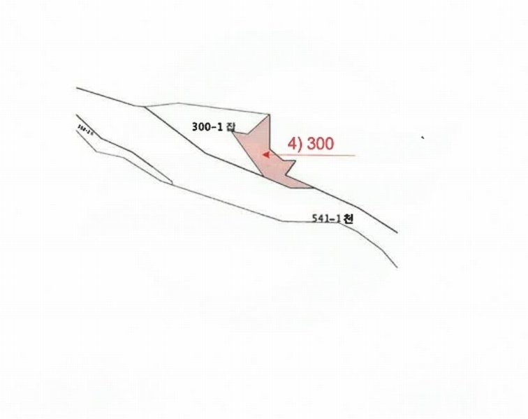 2025타경51784 충청북도 보은군 탄부면 벽지리 300 농지 경매 이미지