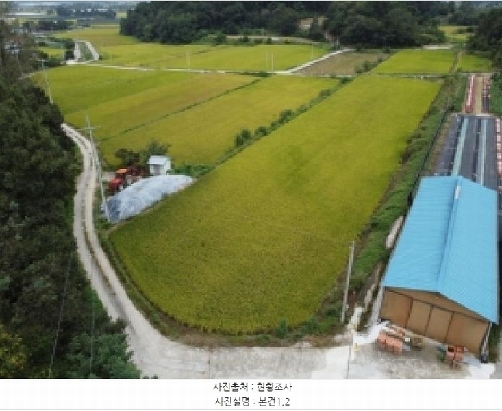 2025타경51784 충청북도 보은군 탄부면 벽지리 787 농지 경매 이미지