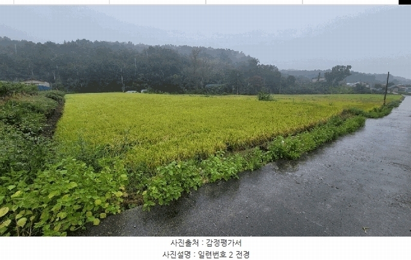 2025타경51784 충청북도 보은군 탄부면 벽지리 787 농지 경매 이미지