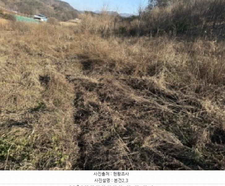 2025타경51967 충청북도 괴산군 청천면 금평리 142-1 농지 경매 이미지