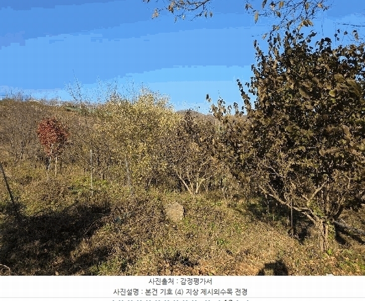 2025타경51967 충청북도 괴산군 청천면 금평리 142-1 농지 경매 이미지