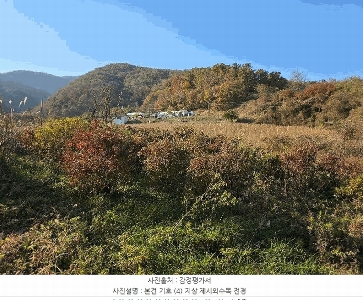 2025타경51967 충청북도 괴산군 청천면 금평리 142-1 농지 경매 이미지