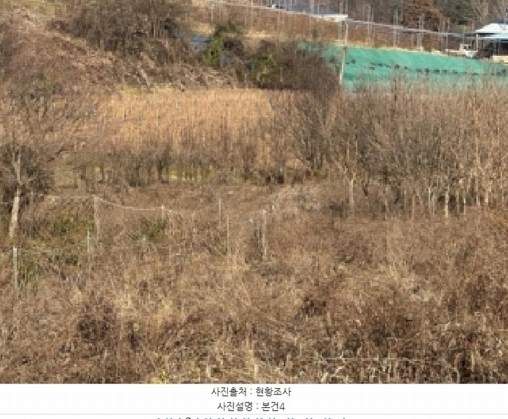 2025타경51967 충청북도 괴산군 청천면 금평리 142-1 농지 경매 이미지