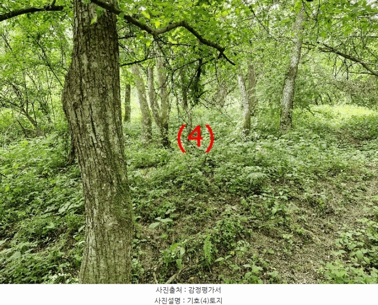 2025타경1754 경기도 가평군 가평읍 이화리 589 농지 경매 이미지