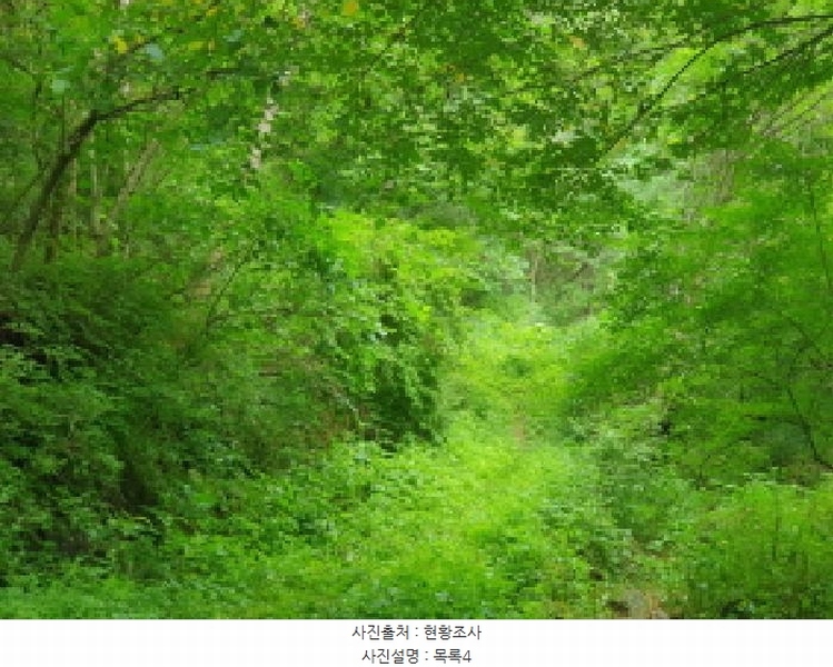 2025타경1754 경기도 가평군 가평읍 이화리 589 농지 경매 이미지