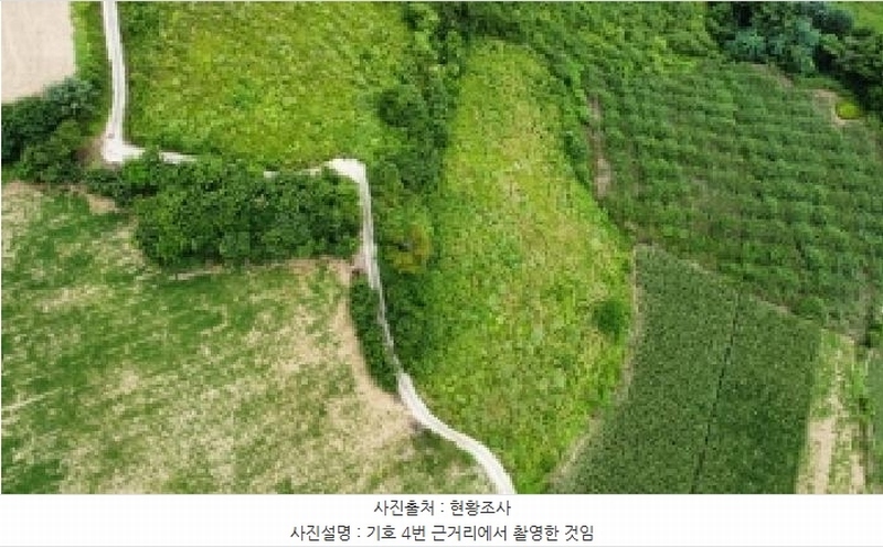 2025타경1045 강원특별자치도 정선군 화암면 몰운리 391-1 농지 경매 이미지